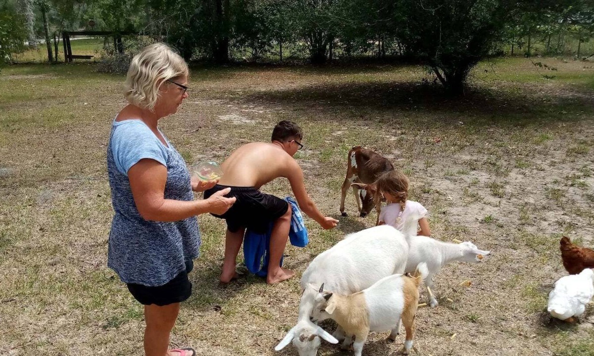 Williston Other | Williston Fl Petting Zoo 10 minutes to Blue Grotto