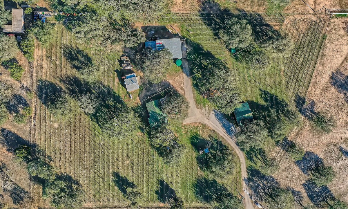 Round Mountain House | Wine Country Compound - Former Winery - Sleeps 21 - Pet Friendly