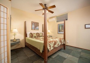 Aloha Aku CoCoPalm Suite - Experience Tropical Bliss