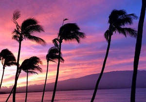 Best Oceanfront Condo, LAULOA, Remodeled, WiFi, Curved UHD-TV