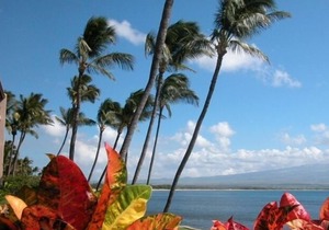 Best Oceanfront Condo, LAULOA, Remodeled, WiFi, Curved UHD-TV