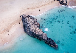 Choice island escape - stroll to beach, dining, attractions, & nightlife