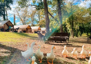 Enjoy the beautiful San Marcos River in this new, nice and comfy cabin!