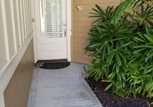 Gorgeous Oceanview Townhome - AC included!