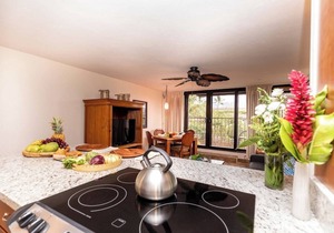 KA 403 Remodeled 1BD w Mountain Views Pool AC