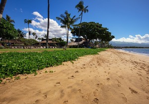 Large Modern Oceanfront Condo ★ Recent Remodel ★ Amazing Views ★ Maalaea Surf G8