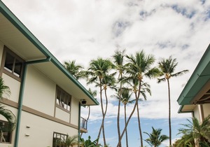 Luxury Maui Paradise right on the beach, Puunoa Beach Estate #201
