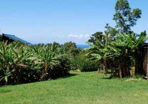 Maui Adventure Villa