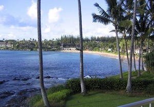 Napili Shores A-201 - Get Your Spring/Summer 2025 Dates Booked Now!