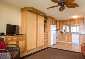 Napili Shores I-173 - Direct Oceanfront - Summer Dates Open