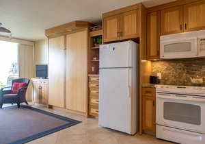Napili Shores I-173 - Direct Oceanfront - Summer Dates Open