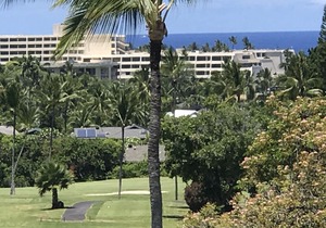 NOW OPEN!! Golf course luxury 2/2 condo on Golf w/ocean views, WiFi
