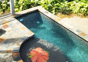 Ocean-View All-Suite Oasis: Private Pool, Lanai – Near Magic Sands Beach