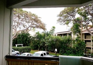 One Bedroom, First Floor, Fully Furnished Condo