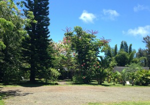 Peaceful & Private Studio - 12 Acre Hobby Organic Fruit Farm - Beach 10min