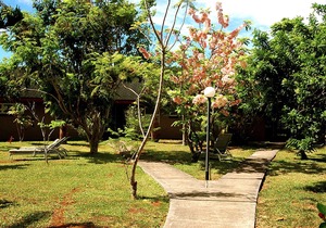 Peaceful & Private Studio - 12 Acre Hobby Organic Fruit Farm - Beach 10min