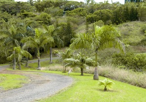 Peaceful & Private Studio - 12 Acre Hobby Organic Fruit Farm - Beach 10min