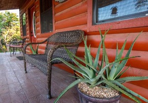 Pet Friendly Cabin 4 - 15 minutes from Magnolia and Baylor