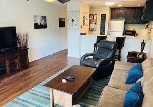 Recently Remodeled, Modern, Nice Condo in a Great Location
