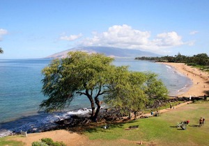 Royal Mauian #403 by Ali'i Resorts