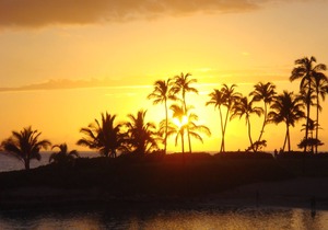 SPECTACULAR OCEAN VIEW SUITE 8th FL. BEACH TOWER BEACH VILLAS KO OLINA #BT802