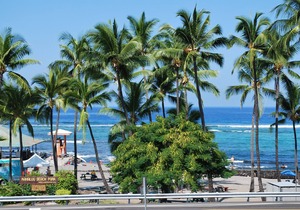 Stunning Modern Condo Across Street from Turtle Beach, Learn to Snorkel or Surf!