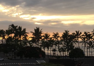 Stunning Modern Condo Across Street from Turtle Beach, Learn to Snorkel or Surf!