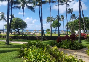 Villa 105: Fall REDUCED 50%! Ocean View Turtle Bay