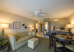 Your Unbeatable Experience! Amazing Suite + Kitchen | Close to Local Attraction