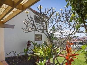 Kailua Bay Resort | Kahaluu-Keauhou