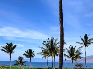 Maui Br Ocean | Kihei