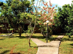 Acre Hob | Pauwela