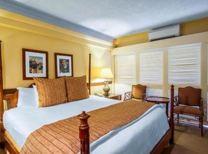 The Equus | Waikiki