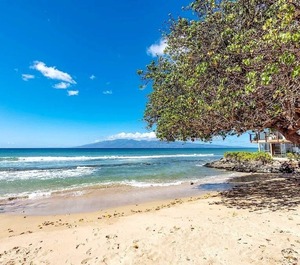 Honokowai Palms 