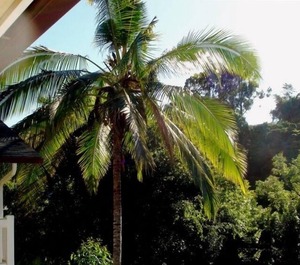 Bamboo Valley Inn 