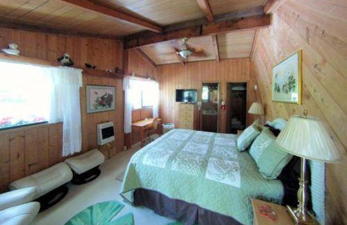 Volcano Bed & Breakfast | 17 m² Bed and breakfast ∙ 2 guests