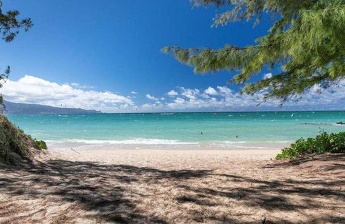 Wailuku Apartment | 30 m² Apartment ∙ 1 bedroom ∙ 4 guests