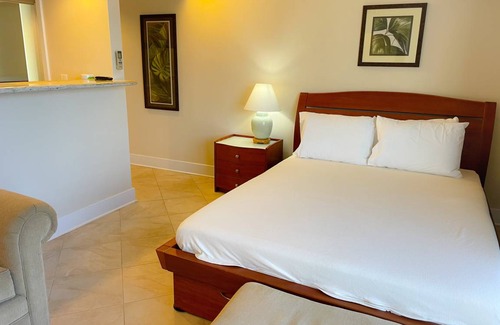 Waikiki Condo | 30 m² Condo ∙ 2 guests
