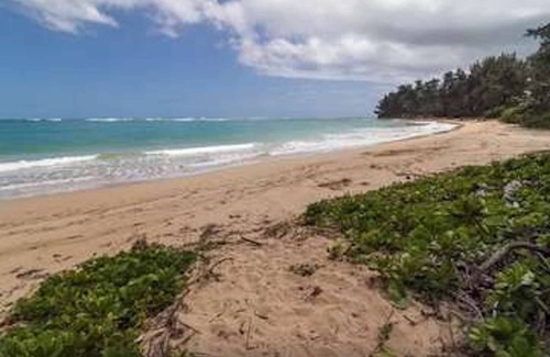 Laie House | 390 m² House ∙ 9 bedrooms ∙ 34 guests