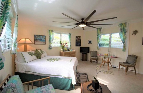 Kailua Apartment | 48 m² Apartment ∙ 1 bedroom ∙ 2 guests
