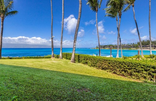 Napili Condo | 50 m² Condo ∙ 2 guests