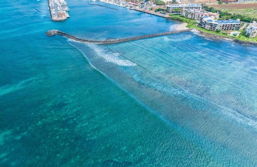 Maalaea Apartment | 52 m² Apartment ∙ 1 bedroom ∙ 4 guests