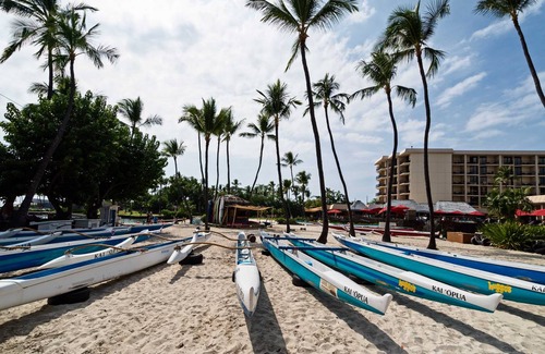Historic Kailua Village Apartment | 61 m² Apartment ∙ 1 bedroom ∙ 4 guests