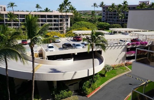 Kihei Condo | Beachfront Studio | Walk to Kamaole Beach + Pools