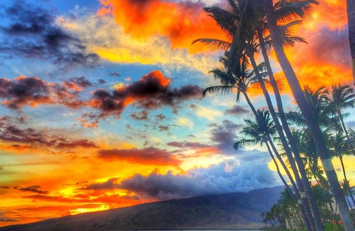 Kihei Condo | Beautiful Maalaea Surf Beachfront Condo G-2 Great Location