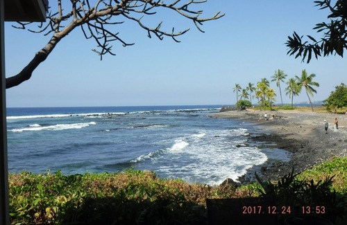 Kahaluu Bay Condo | Beautiful Ocean/Beachfront Property and A Private Back Yard! AC in both BDRMS!