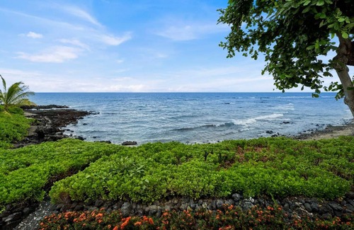 Kahaluu Bay Condo | Condo ∙ 2 bedrooms ∙ 4 guests