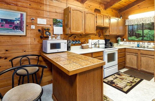 Volcano House | Cozy and Beautiful Home with Lush Private Setting! 🌺 - Volcano Village Cymbidium House 🌋