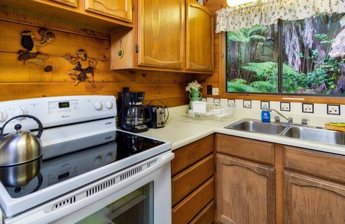 Volcano House | Cozy and Beautiful Home with Lush Private Setting! 🌺 - Volcano Village Cymbidium House 🌋