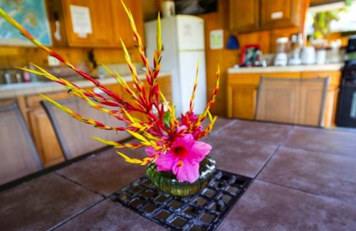 Kapoho House | House ∙ 1 bedroom ∙ 4 guests